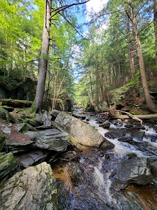 Windsor State Forest - Savoy, Massachusetts campground