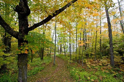 Schoolcraft State Park - Deer River, Minnesota campground