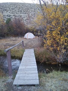 Smokey Cubs - Leadore, Idaho campground