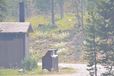 Chief Joseph - Cooke City-Silver Gate, Montana campground
