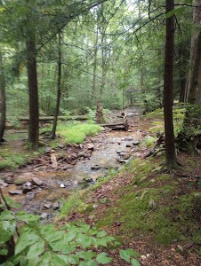 Fowlers Hollow State Park - Blain, Pennsylvania campground