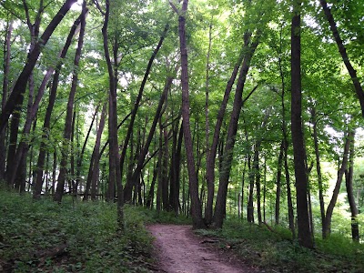 Oxbow County Park - Byron, Minnesota campground
