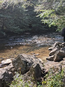 Laurel Fork - Harman, Virginia campground
