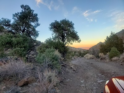 Desert Creek - Smith Valley, Nevada campground
