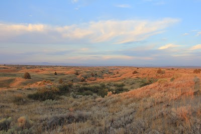 Juniper Dunes OHV - Pasco, Washington campground