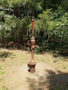 Sam Brown - Wilderville, Oregon campground