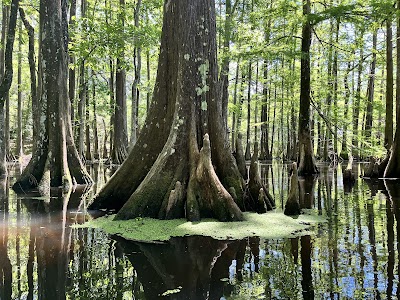Chicot State Park campground