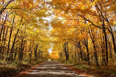 Zippel Bay State Park - Williams, Minnesota campground