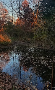Grammer Grove Wildlife Area - Liscomb, Iowa campground