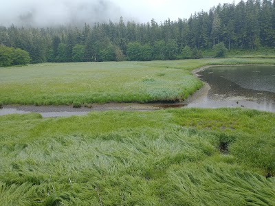 Starrigavan - Sitka, Alaska campground