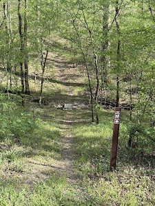 Dragover - Sims, Arkansas campground
