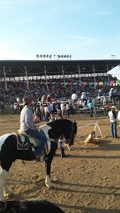 Colusa County Fairgrounds - Colusa, California campground