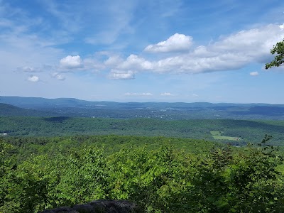 Beartown State Forest - Monterey, Massachusetts campground
