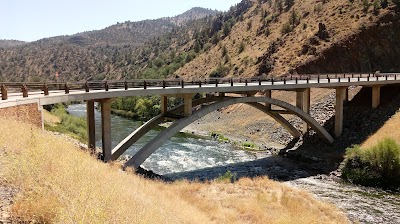 Tree Of Heaven - Yreka, California campground