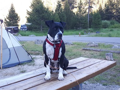 Mormon Bend - Stanley, Idaho campground
