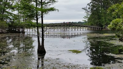 Martin Dies State Park - Jasper, Texas campground