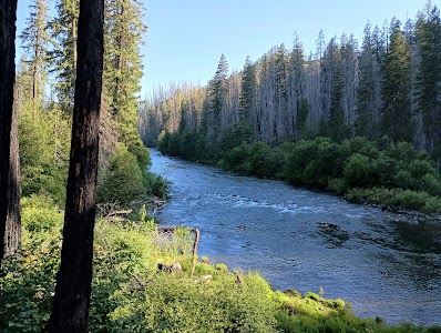 Ripplebrook - Estacada, Oregon campground
