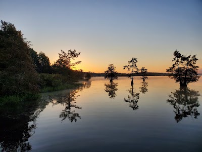 Lake DArbonne State Park - Farmerville, Louisiana campground