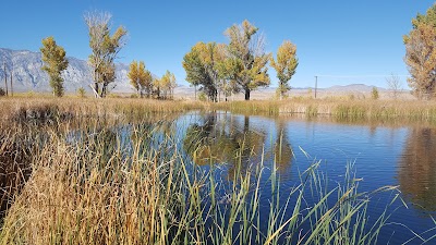 Millpond - Bishop, California campground