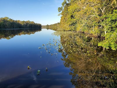 Milburn Landing - Pocomoke State Park - Pocomoke City, Maryland campground