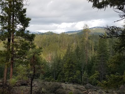 Preacher Meadow - Trinity Center, California campground
