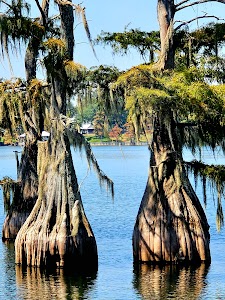 Lake Bruin State Park - Saint Joseph, Louisiana campground