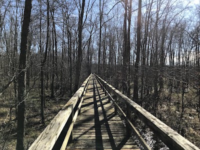 Big Hill Pond State Park - Pocahontas, Tennessee campground