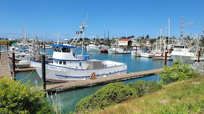 Brookings Harbor Beachfront RV Park - Brookings, Oregon campground