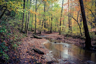 Kanawha State Forest - Charleston, West Virginia campground