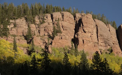 Cement Creek - Crested Butte, Colorado campground