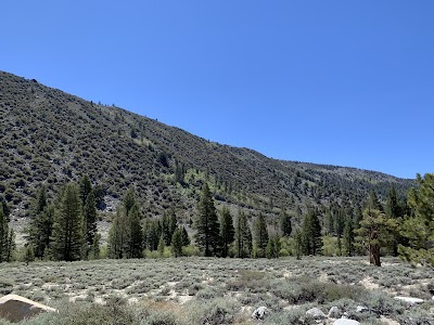 Eastfork - Forks of Salmon, California campground