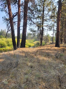 Williamson River - Chiloquin, Oregon campground