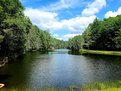 Seneca State Forest - Dunmore, West Virginia