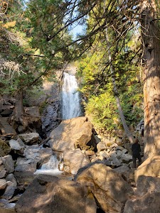Bobcat - WDFW - Winthrop, Washington campground