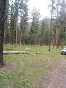 Siria - Philipsburg, Montana campground