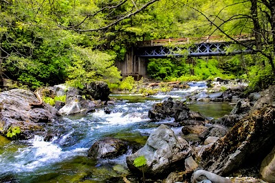 Little North Fork - Berry Creek, California campground