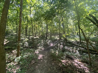 Brinton Timber - Brighton, Iowa campground