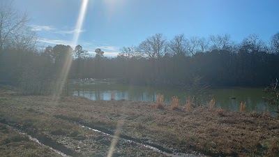 Thomas Lake Park - Naples, Texas campground