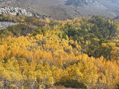 Mountain Glen - Bishop, California campground