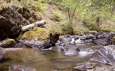 Summit Creek - May, Idaho campground