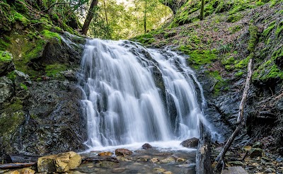 Uvas Canyon County Park - Morgan Hill, California campground