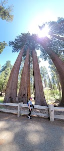 Crystal Springs - Easton, Washington campground