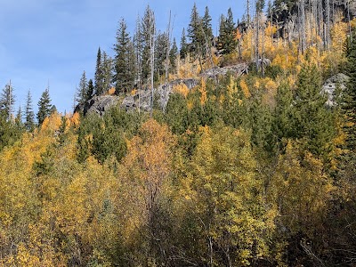 Grouse Group Picnic Site (recgovnpsdata) - New Meadows, Idaho campground