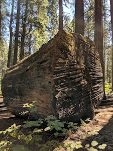 Big Trees - Bishop, California campground