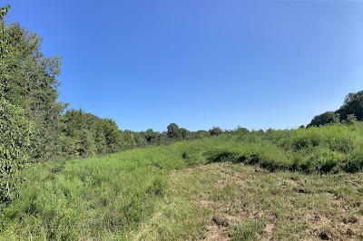 Yellowbank Creek - Yellowbank WMA - Stephensport, Kentucky campground