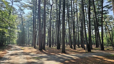 Sand Ridge State Forest - Forest City - Topeka, Illinois campground