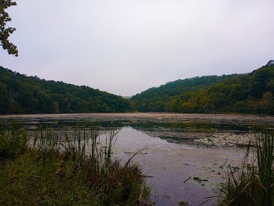 Sycamore Loop Dispersed - Noblett Lake - West Plains, Missouri campground