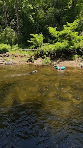 Davidson River - Brevard, North Carolina campground