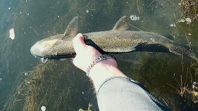 Gray Reef Reservoir - Alcova, Wyoming campground