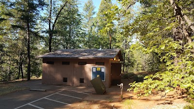 Bushytail - Trinity Center, California campground